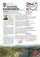 Amtsblatt_022019.pdf